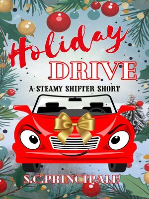cover image of Holiday Drive